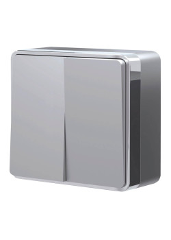 Выключатель двухклавишный Werkel Gallant серебряный W5020006 4690389167102