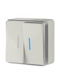 Выключатель двухклавишный с подсветкой Werkel Gallant слоновая кость W5020103 4690389164187