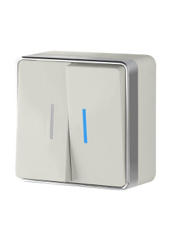 Выключатель двухклавишный с подсветкой Werkel Gallant слоновая кость W5020103 4690389164187