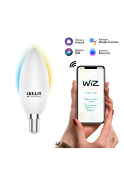 Лампа светодиодная диммируемая Gauss Smart Home E14 5W 2700-6500K матовая 1110112
