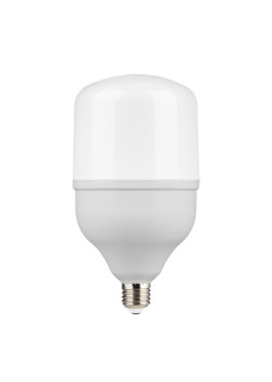 Лампа светодиодная Gauss E27 50W 6500K матовая 63235