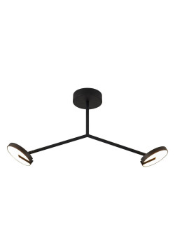 Потолочная светодиодная люстра Favourite Paritet 4401-2C