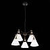 Подвесная люстра ST Luce Evoluto SL237.413.05