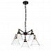 Подвесная люстра ST Luce Evoluto SL237.413.05