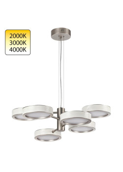 Подвесная люстра Odeon Light Riviera L-Vision 5451/99L