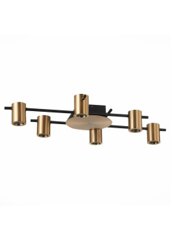 Потолочная люстра ST Luce Veroli SL1207.402.06