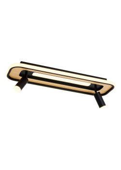 Потолочная светодиодная люстра F-Promo Olika 4439-2C
