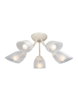 Потолочная люстра Vitaluce V3405/5PL