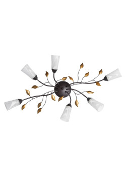 Потолочная люстра MW-Light Восторг 242015206