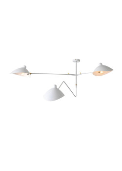 Потолочная люстра ST Luce Spruzzo SL305.502.03