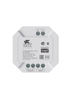 Релейный модуль Arte Lamp SMART A90S-02CH-WF