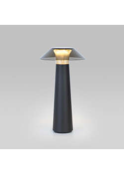 Настольная лампа Elektrostandard Future TL70200 черный a062379