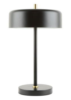 Настольная лампа Arte Lamp Skat A7052LT-2BK