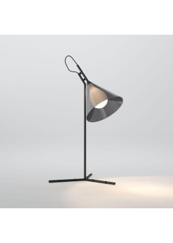 Настольная лампа Eurosvet Enigma 01186/1 черный