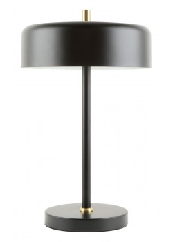 Настольная лампа Arte Lamp Skat A7052LT-2BK