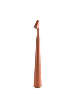 Настольная лампа Arte Lamp Fusion A3283LT-2BR