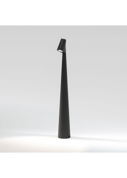 Настольная лампа Elektrostandard Elite TL70250 a068070