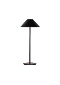 Настольная лампа Kink Light Паола 07210-T,19