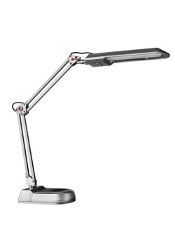 Настольная лампа Arte Lamp Desk A5810LT-1SI