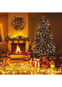 Гирлянда Eurosvet нить 10м IP20 400-002 мульти