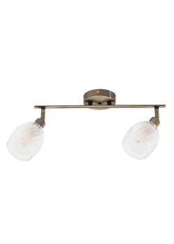 Спот Arte Lamp Biham A3184PL-2AB