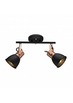 Спот Arte Lamp A1677PL-2BK