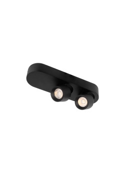 Спот Loft IT Quiet 10320/2 Black