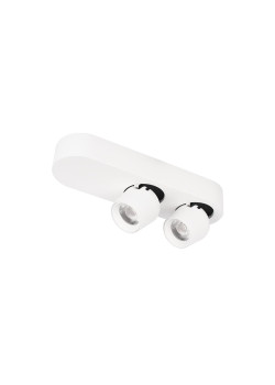 Спот Loft IT Quiet 10320/2 White