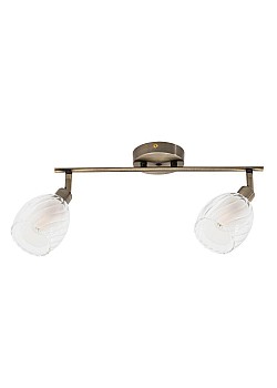 Спот Arte Lamp Biham A3184PL-2AB