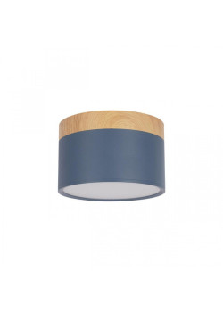 Накладной светодиодный светильник Loft IT Grape 10162 Blue