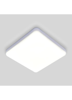 Потолочный светодиодный светильник Elektrostandard DLS043 10W 4200K a047941