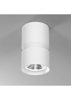 Потолочный светодиодный светильник Elektrostandard Kayo 25049/LED 12W 4000К белый a064730