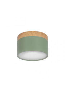 Накладной светодиодный светильник Loft IT Grape 10162 Green
