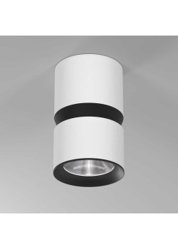 Потолочный светодиодный светильник Elektrostandard Kayo 25049/LED 12W 4000К белый/черный a064731