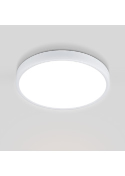 Потолочный светодиодный светильник Elektrostandard DLR034 24W 4200K a043016