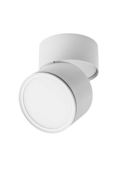 Накладной светодиодный светильник Lightstar Acuto 215886