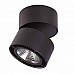 Потолочный светодиодный светильник Lightstar Forte Muro 213857