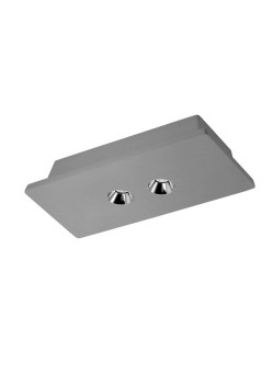 Потолочный светодиодный светильник Loft IT Architect OL1072-GH/2