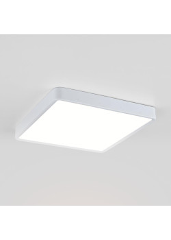 Потолочный светодиодный светильник Elektrostandard DLS034 24W 4200K a043018