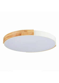 Потолочный сетодиодный светильник Evoluce Delia SLE201352-01