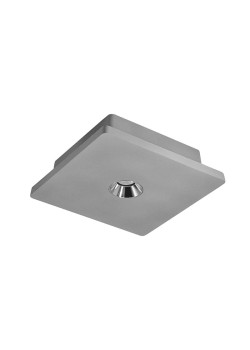 Потолочный светодиодный светильник Loft IT Architect OL1072-GH/1