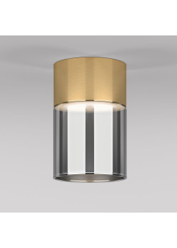 Потолочный светодиодный светильник Elektrostandard Lumen 25047/LED 10W 4000К латунь/дымчатый a064708