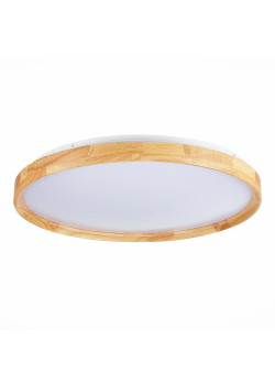Потолочный сетодиодный светильник Evoluce Delia SLE201382-01