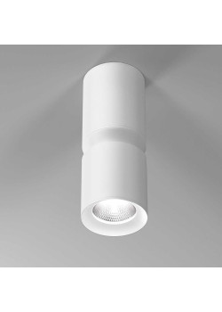 Потолочный светодиодный светильник Elektrostandard Kayo 25048/LED 12W 4000К белый a064727