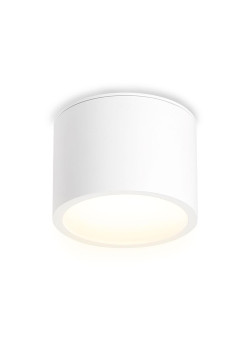 Потолочный светильник Ambrella light Techno Spot IP Protect TN6550
