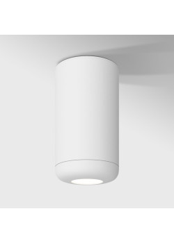 Потолочный светодиодный светильник Elektrostandard Onde 25044/LED 10W 4000K белый a064195