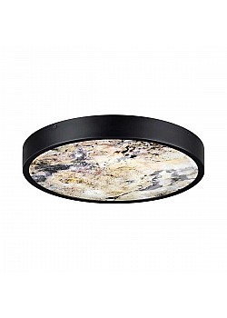 Настенно-потолочный светильник Odeon Light BERGI 5064/24L