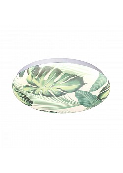Настенно-потолочный светодиодный светильник Sonex Pale Flori 7748/CL