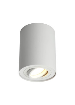 Потолочный светильник Omnilux Pantaleo OML-101009-01