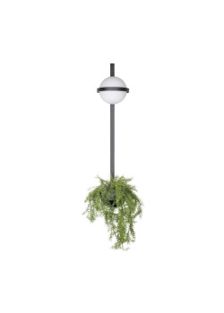 Настенный светильник LOFT IT Jardin 10121W/B